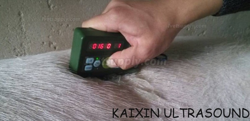 KAIXIN UT01 Backfat Scanner Backfat Instrument for Pigs